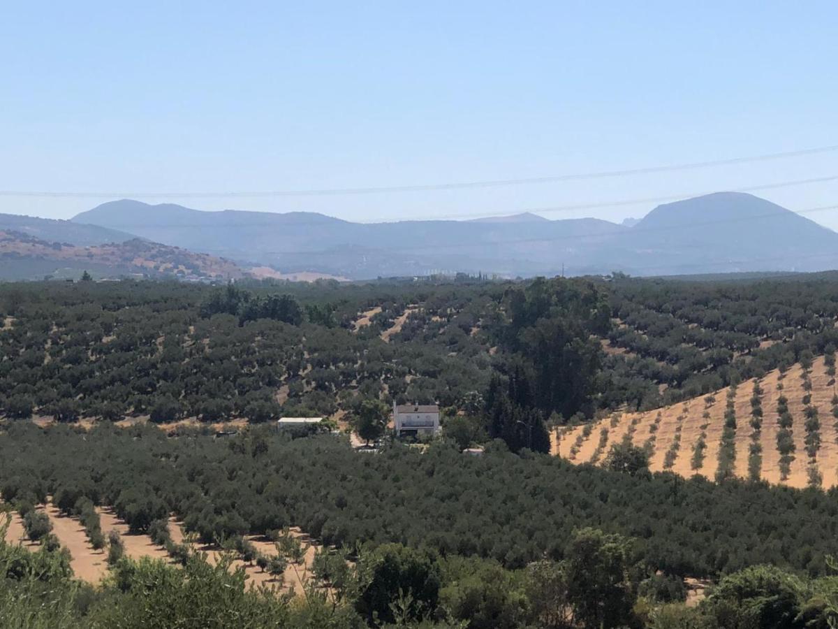 Cortijo Ribero Villa Кабра Екстериор снимка
